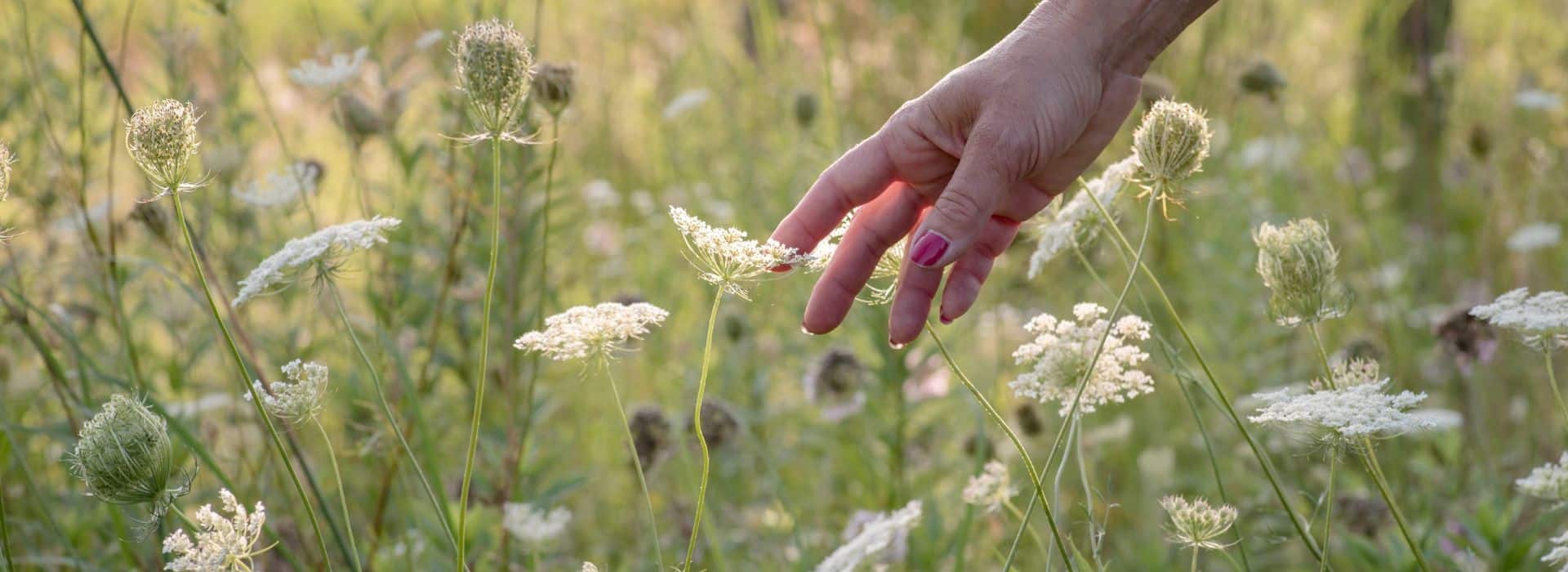 Woman's hand in wild flowers | How to live more joyfully | Shine Body & Bath Chakra Soap | Blog